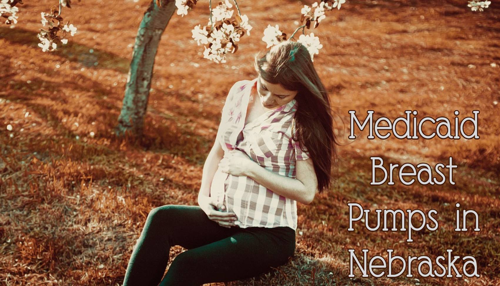 Nebraska Medicaid Breast Pump The Breastfeeding Shop