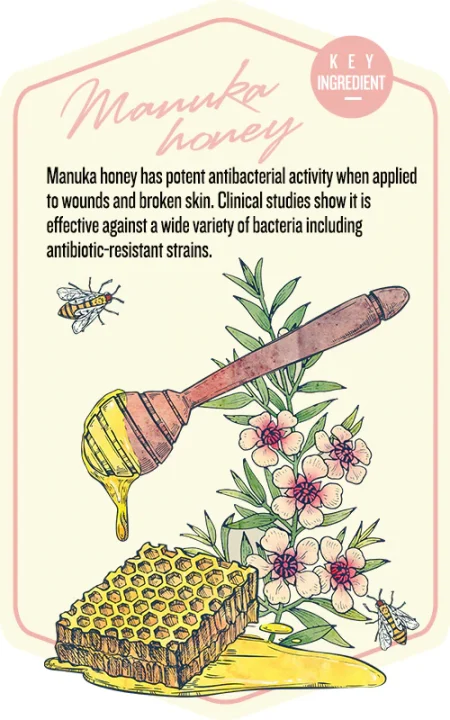 Manuka honey features graphic