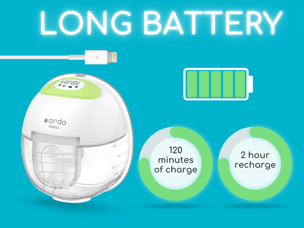 Ardo Melia Long Batter Infographic